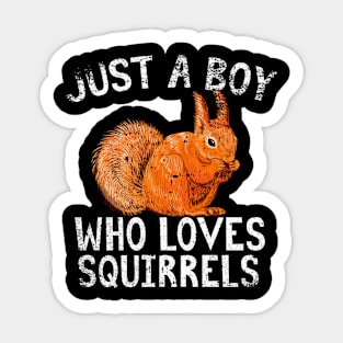 Just A Boy Who Loves Squirrels Sticker